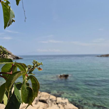 Beach Apartment PalaiónTsiflíkion Eksteriør bilde